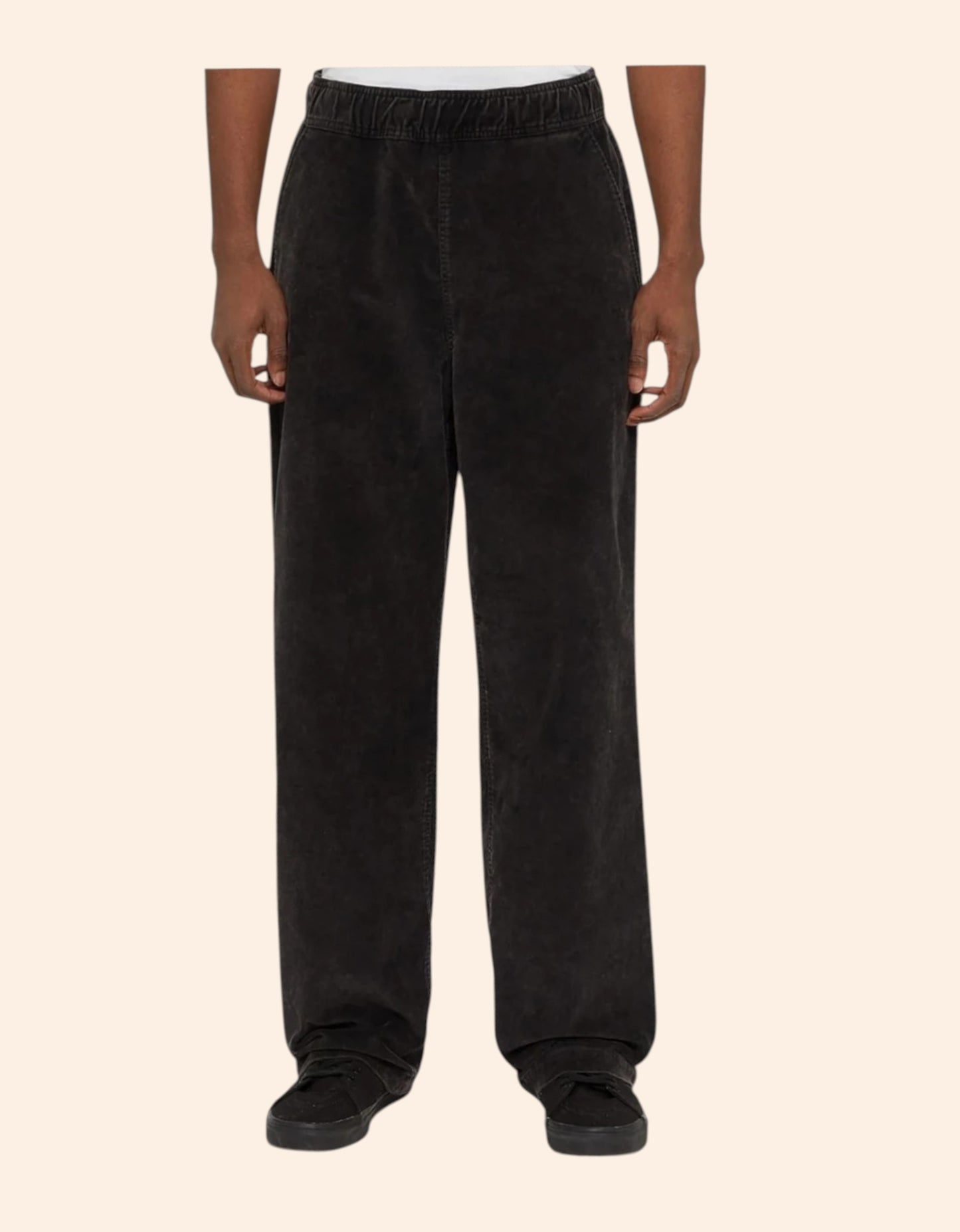 Dickies Chase City Pant