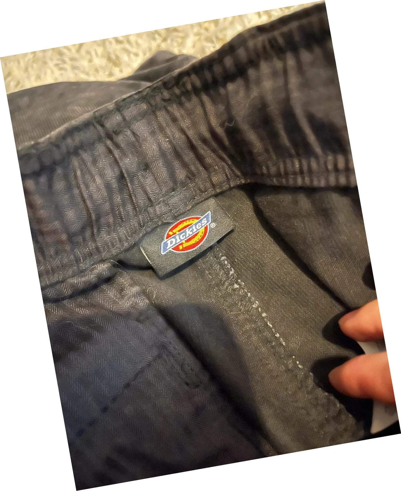 Dickies Chase City Pant