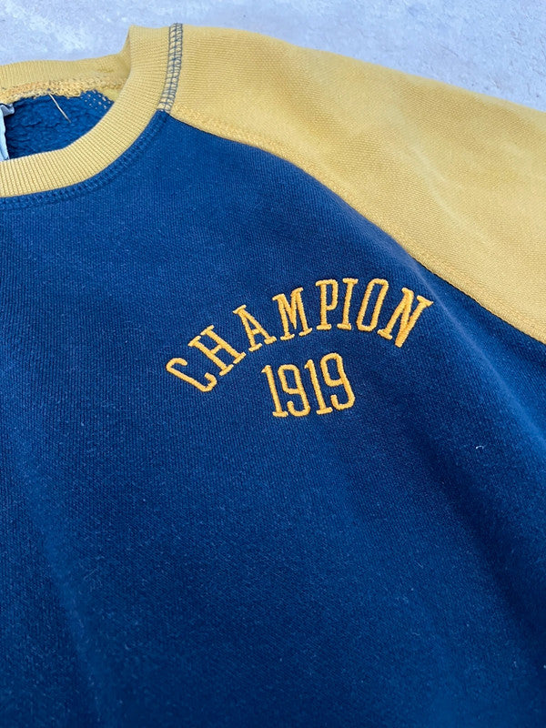 Sweat Champion vintage - Bicolore