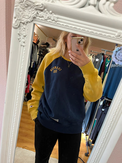 Sweat Champion vintage - Bicolore