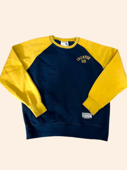 Sweat Champion vintage - Bicolore