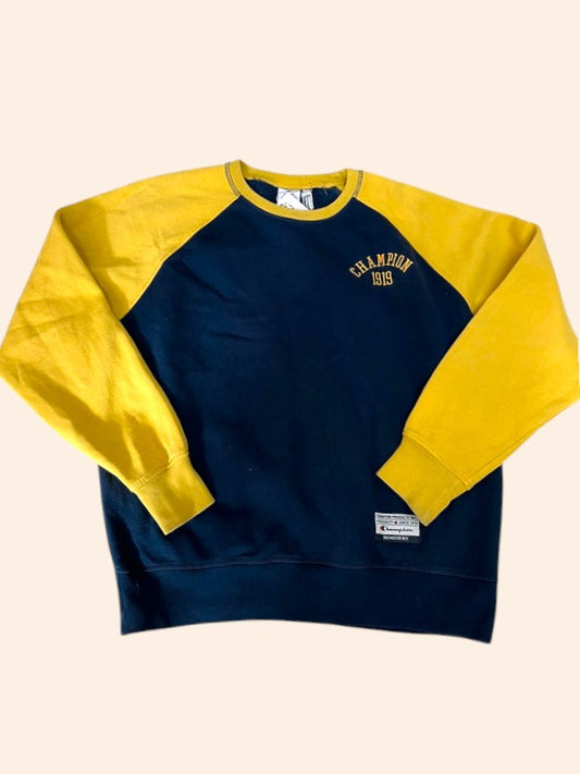 Sweat Champion vintage - Bicolore